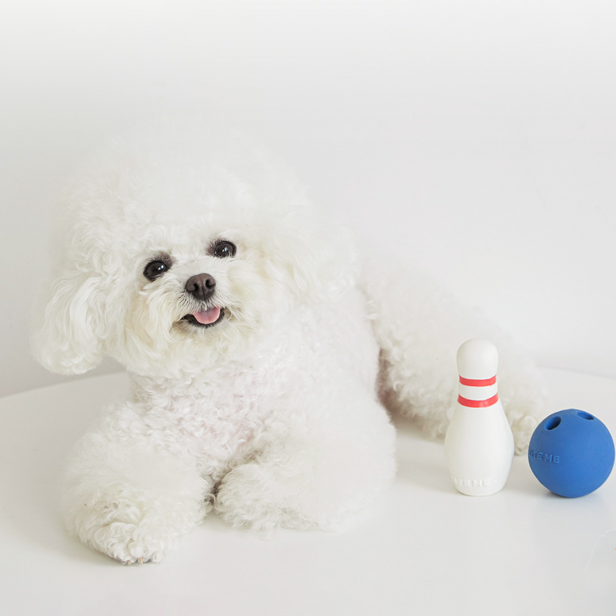 Bowling Pin Interactive Nosework Dog Toy – WOOFELITE