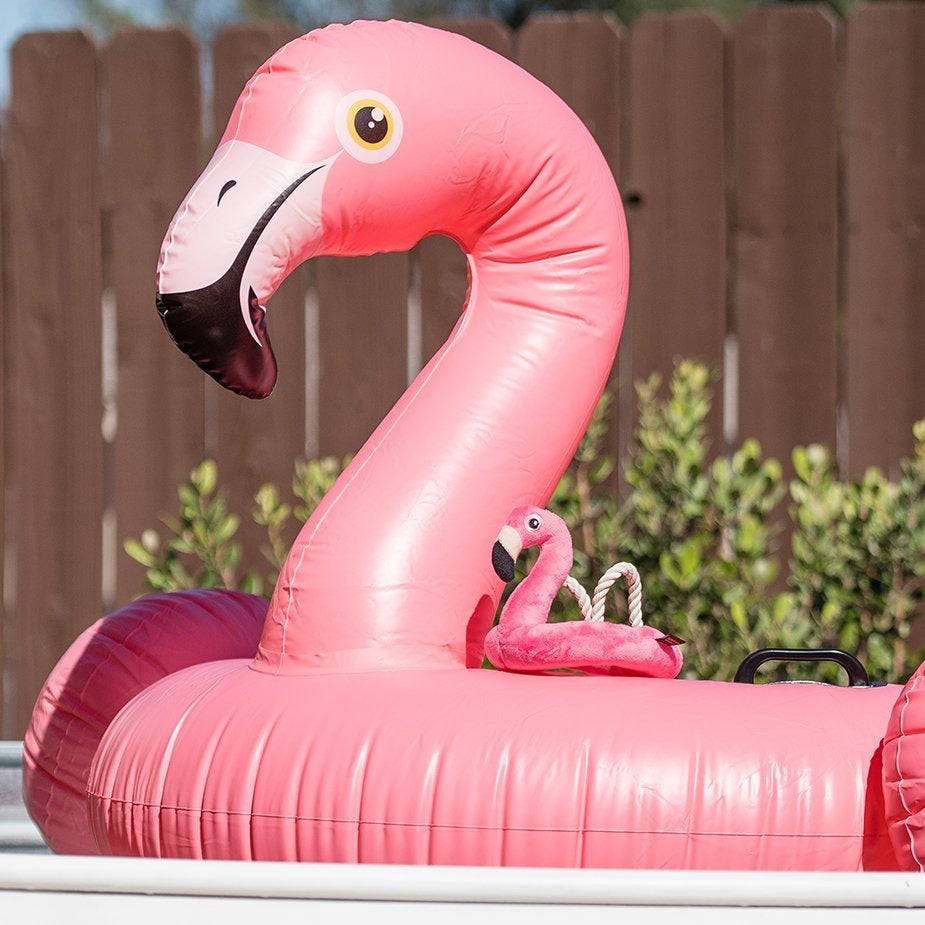 Tropical Paradise Dog Toy - Flamingo Float - The Tail Story
