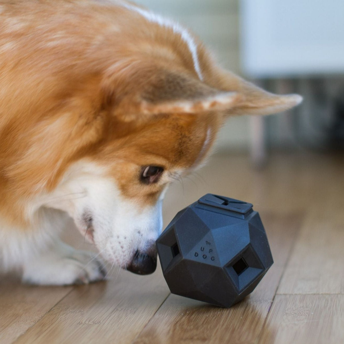 The Odin Dog Treat Dispenser Toy Slate Grey - The Tail Story