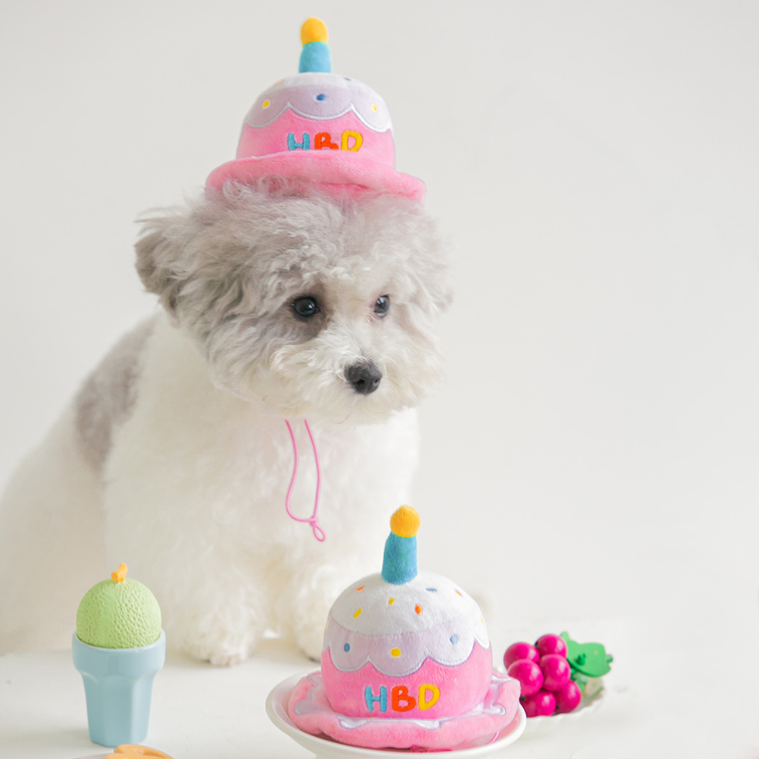 Happy birthday dog on sale hat