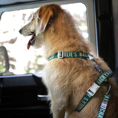 Trip Seat Belt Green