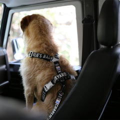 Trip Seat Belt Black