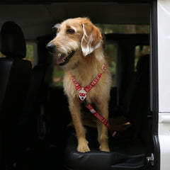 Trip Seat Belt Red