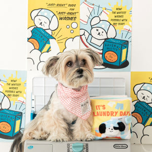 It's Laundry Day Book Nosework Dog Toy