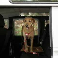Trip Seat Belt Red