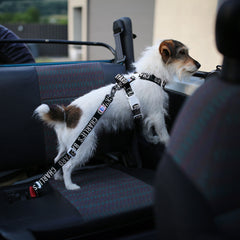 Trip Seat Belt Black