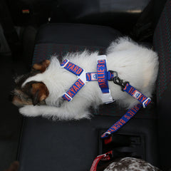 Trip Seat Belt Blue