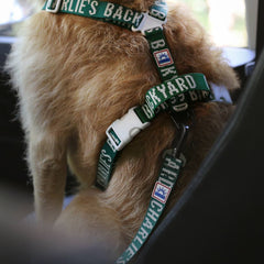 Trip Seat Belt Green