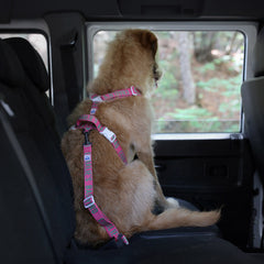 Trip Seat Belt Pink