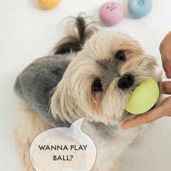 Bite Me Friends Latex Ball Dog Toy Set (12pc)