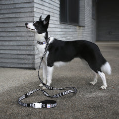 Trip Collar Black