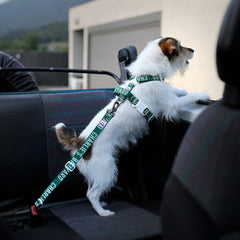 Trip Seat Belt Green