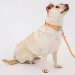 Macaron Hands-free Waterproof Leash - Apricot