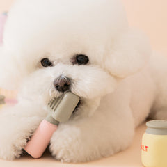 Latex Spatula Dog Toy