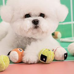 Mini Sports Ball Dog Toys (Set of 3)