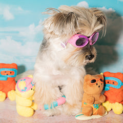 Summer Jelly Bear Dog Toy