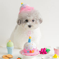 Happy Birthday Cake Hat Dog Toy