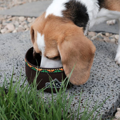 Outdoor Pet Food Bowl
