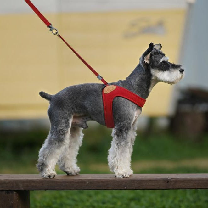 Charlie's backyard easy harness hotsell