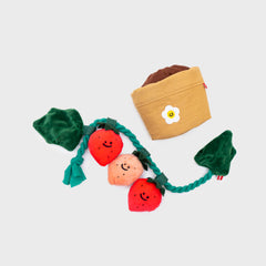 Strawberry Dog Tug Toy