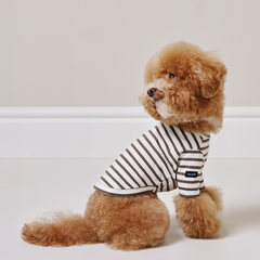 Striped Dog T-Shirt Khaki Brown