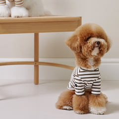 Striped Dog T-Shirt Khaki Brown