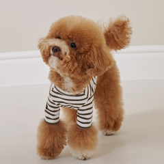 Striped Dog T-Shirt Khaki Brown