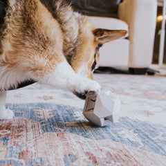 The Odin Dog Treat Dispenser Toy Light Grey
