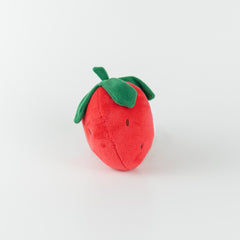 Strawberry Dog Toy