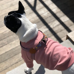 Adventure Sweat-shirt Genie