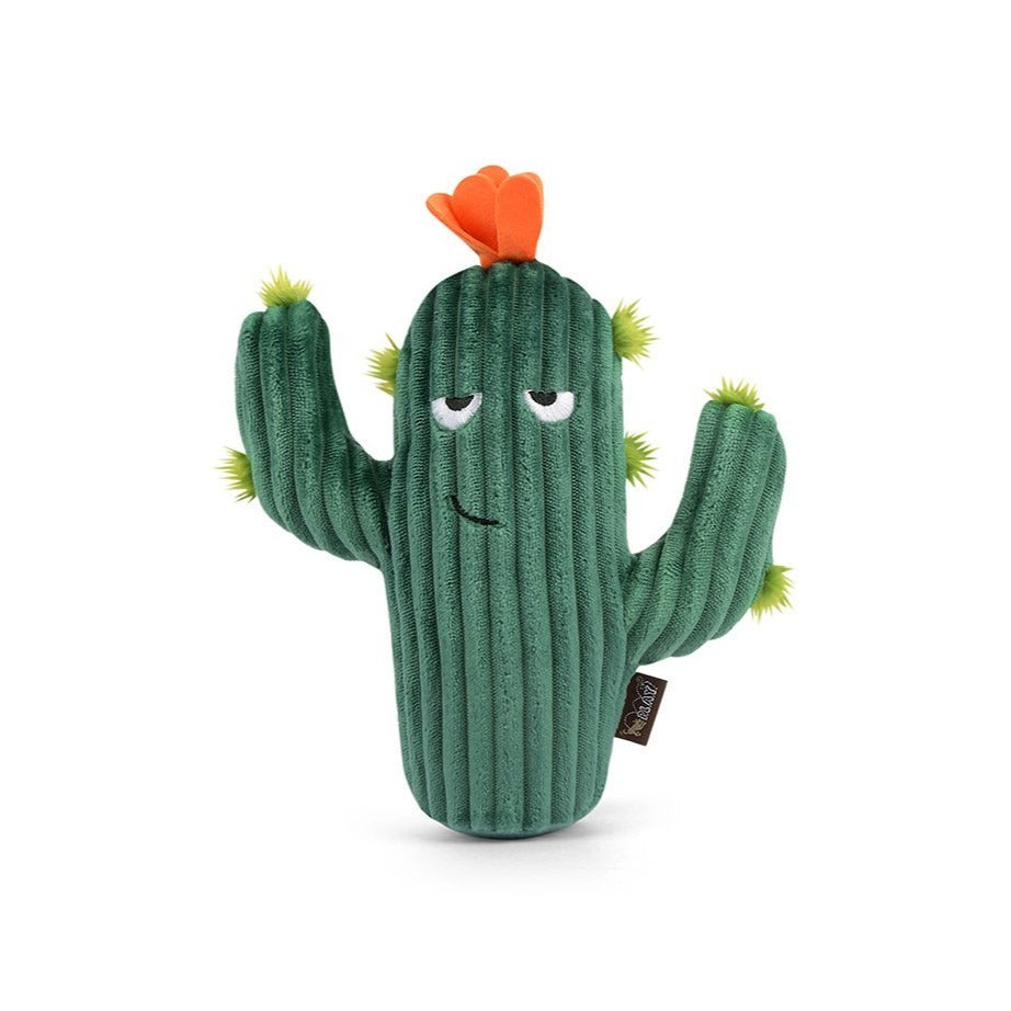 Blooming Buddies Dog Toy - Prickly Pup Cactus