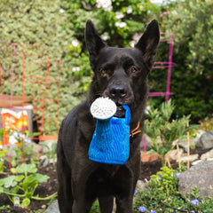 Blooming Buddies Dog Toy - Wagging Watering Can