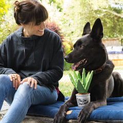 Blooming Buddies Dog Toy - Aloe-ve You Plant