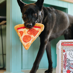 Snack Attack Dog Toy - Puppy-roni Pizza