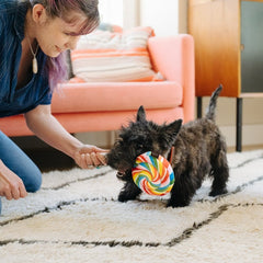 Snack Attack Dog Toy - Lollipup