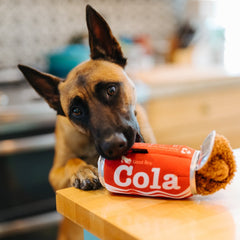 Snack Attack Dog Toy - Good Boy Cola