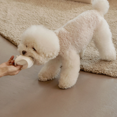 Paper Cup Nosework Dog Toy Latte