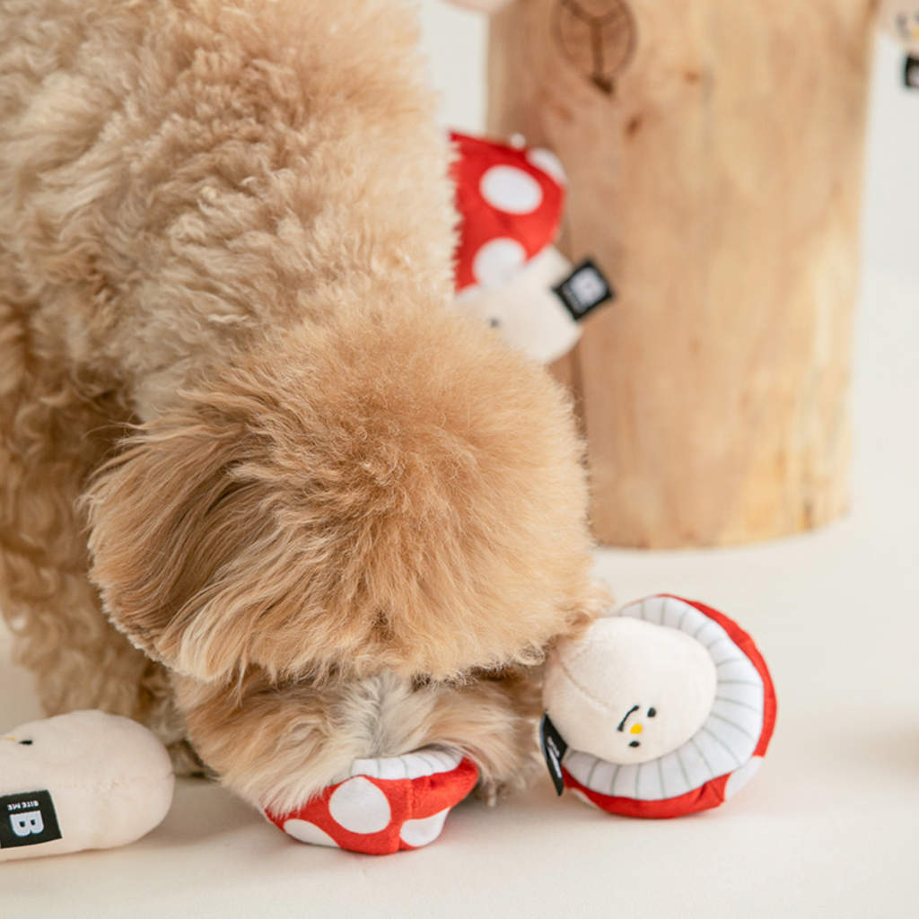 NOSEWORK DOG TOYS - The Tail Story