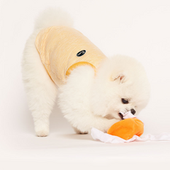 Orange Dog Toy Set