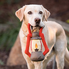 Camp Corbin Dog Toy - Pack Leader Lantern