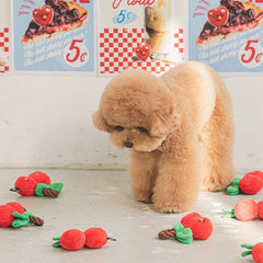 Cherries Tug Dog Toy