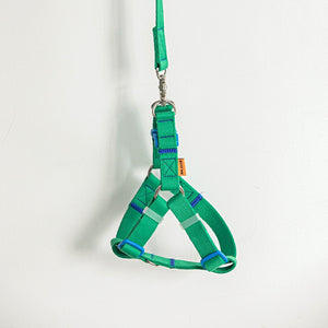 Candy Crayon Harness - Green