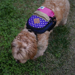 Charlie's Dog Backpack Violet