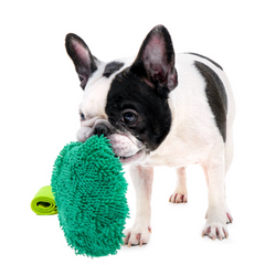 Broccoli Nosework Dog Toy