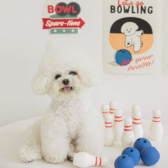 Latex Bowling Dog Toy Set (1 Pin + 1 Ball)