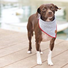 Charcoal Stripe Dog Bandana