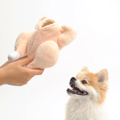 Ginseng Chicken Soup Nosework Dog Toy