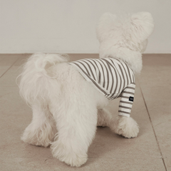 Striped Dog T-Shirt Gray