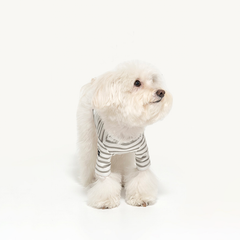 Striped Dog T-Shirt Gray