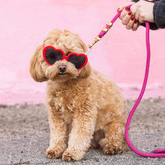Hot Pink Marine Rope Dog Leash